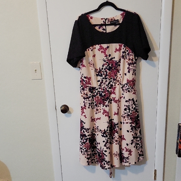 Lane Bryant Dresses & Skirts - Lane Bryant Floral Black and Pink Fit and Flare Midi Dress